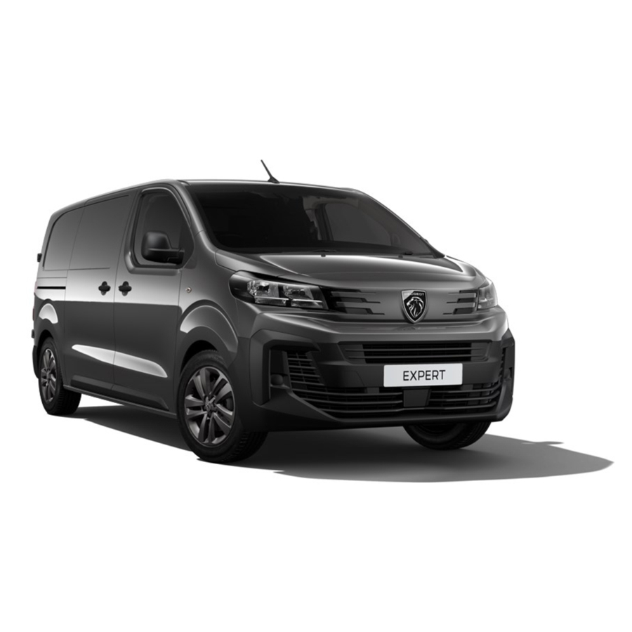 Peugeot Expert Window Cleaning Van Professional Edition - Grey