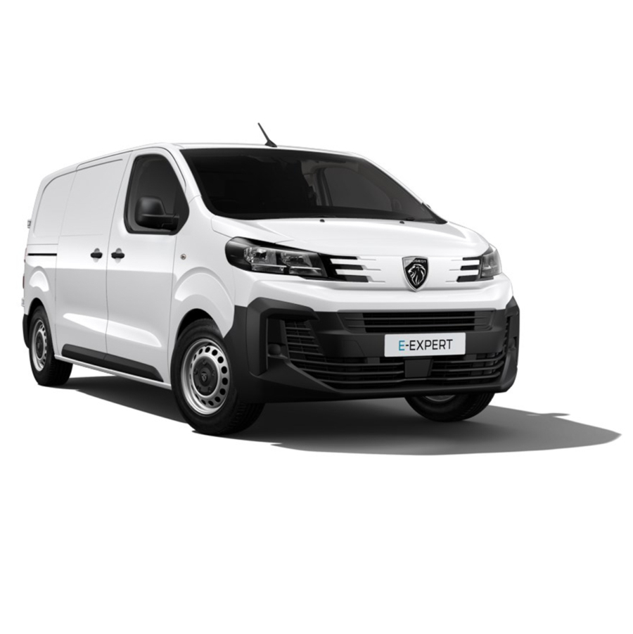 Peugeot e-Expert Electric Window Cleaning Van Professional Edition - White